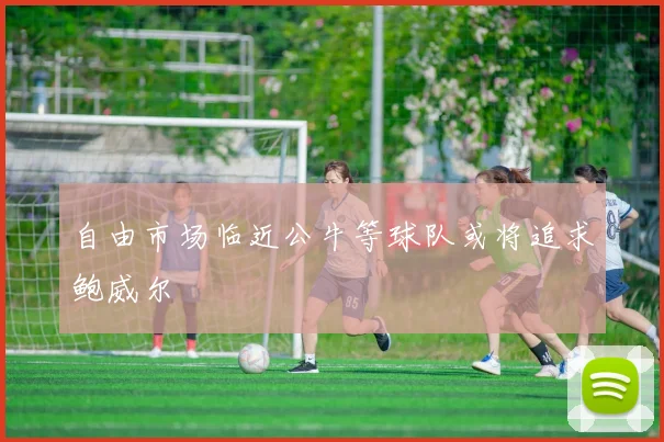 自由市场临近公牛等球队或将追求鲍威尔